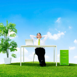 The Rise of Lifestyle Businesses: Balancing Passion, Profit, and Personal Freedom