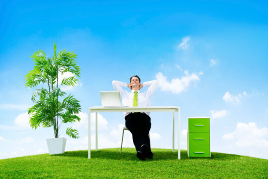 The Rise of Lifestyle Businesses: Balancing Passion, Profit, and Personal Freedom