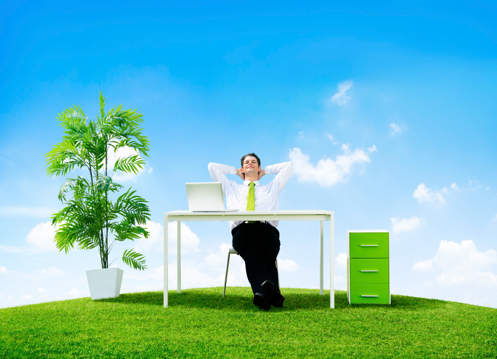 The Rise of Lifestyle Businesses: Balancing Passion, Profit, and Personal Freedom