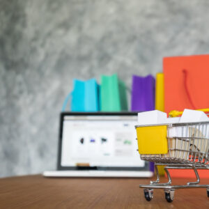 The Growing Use of E-Commerce and Its Adaptability in India