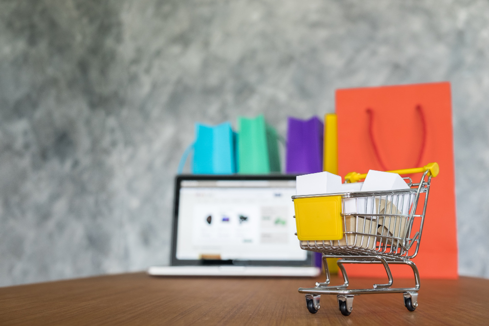 The Growing Use of E-Commerce and Its Adaptability in India
