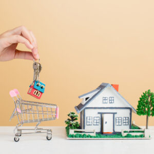 Navigating the Housing Market: Smart Choices for Home Buying and Renting